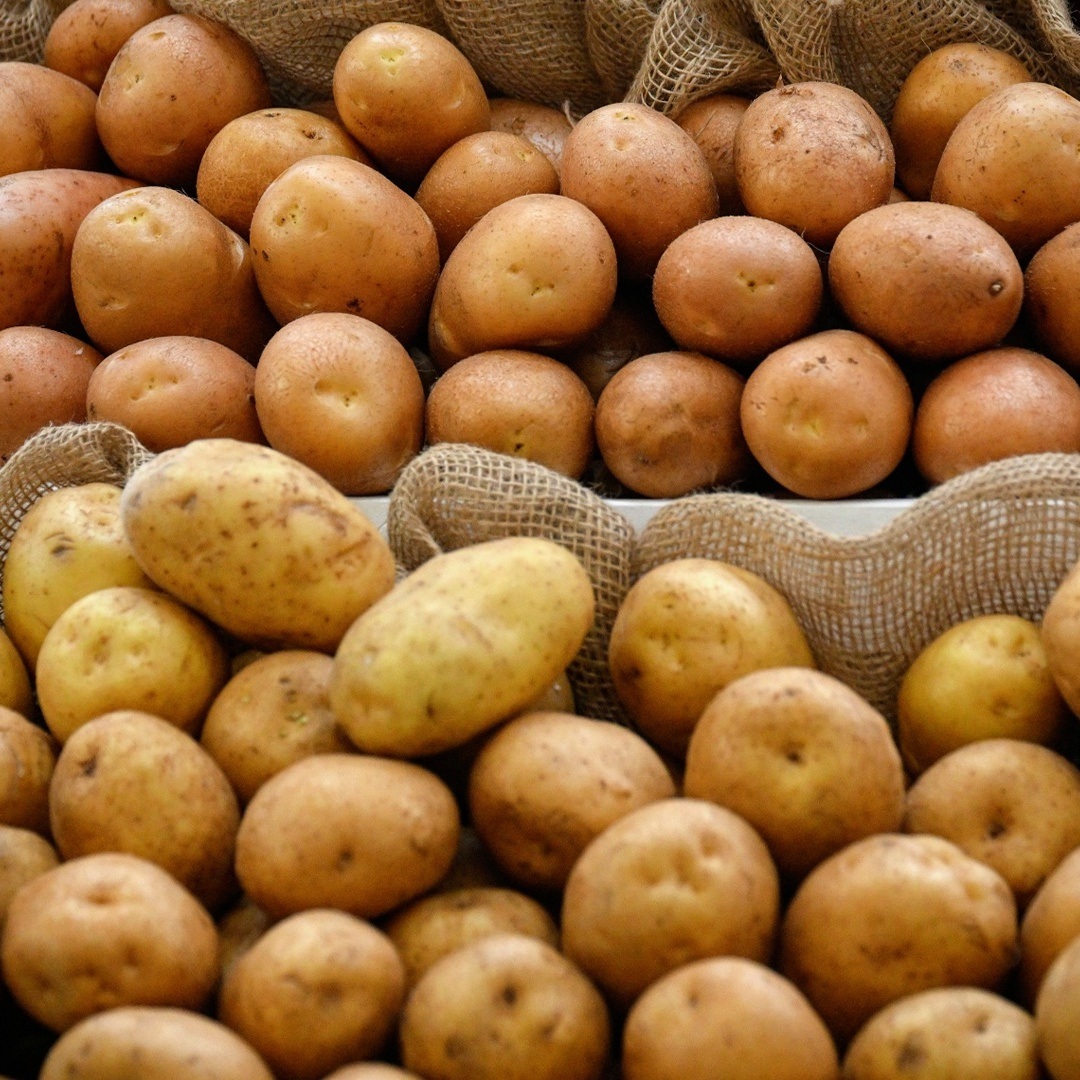 Никаких наростов и зелёных пятен: какой картофель лучше не покупать