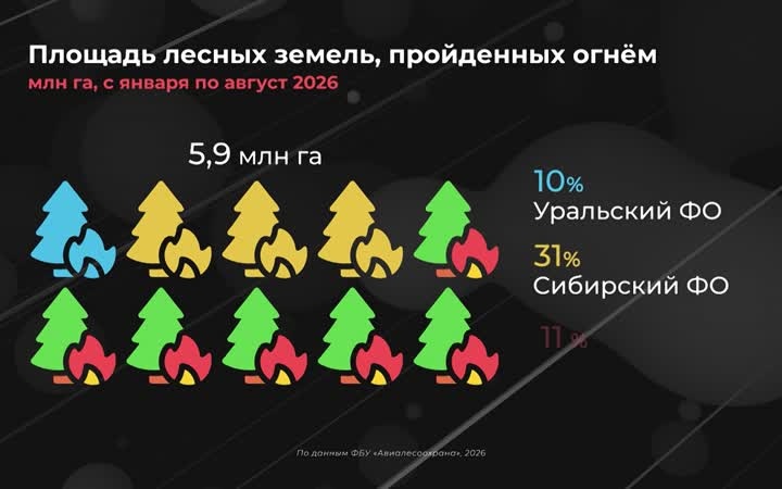 Какие регионы пострадали от лесных пожаров?