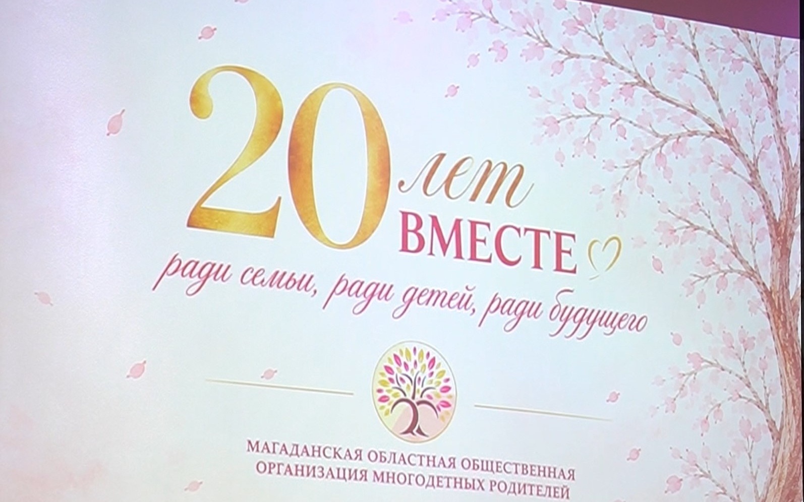 В Магадане организация многодетных семей отметила 20-летие