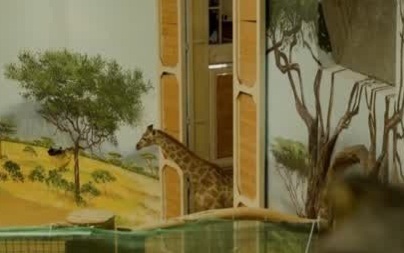 В аэропорту столицы Татарстана приземлился самолет с пассажирами из Намибии