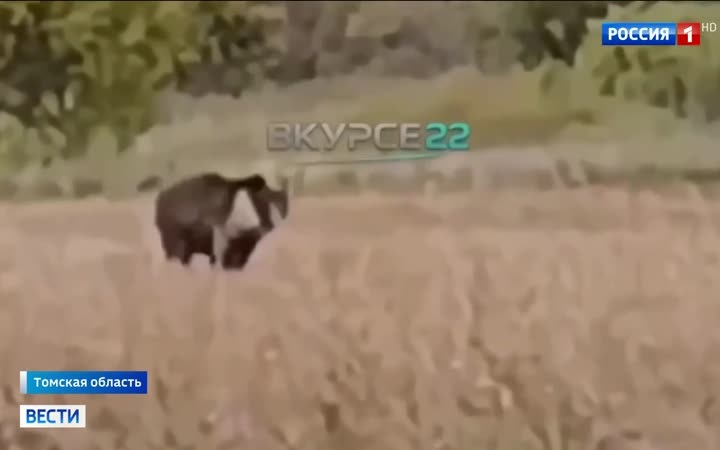 Спасатели ищут альпинистов на горе Дыхтау
