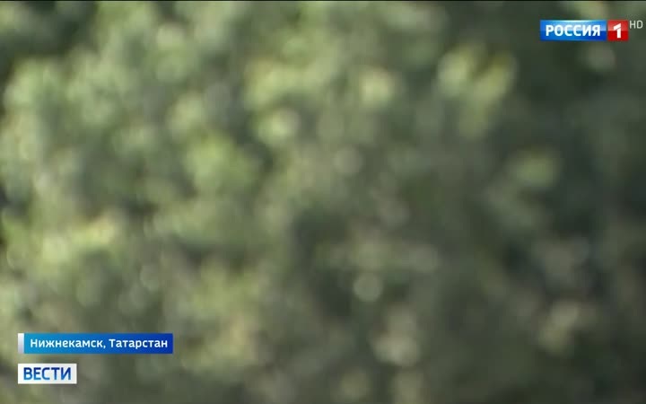 В Нижнекамске «Умный город» сокращает преступность и улучшает жизнь горожан