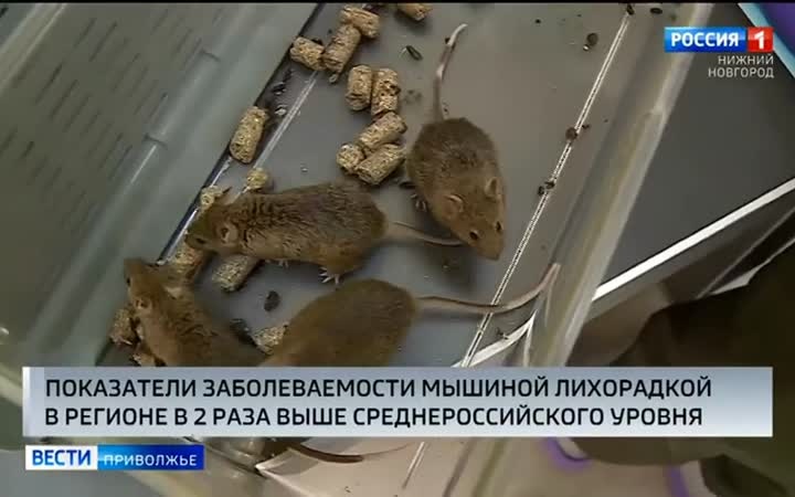 Эфир от 23.09.2026 (09:30)
