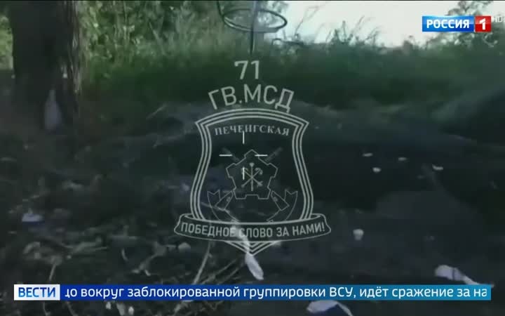 Российская армия взяла под контроль села Красный Яр и Потихоново в Харьковской области