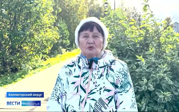 В Холмогорском округе ученики Верхне-Матигорской школы высадили саженцы рябины на аллее памяти Михаила Евсеевича Головина