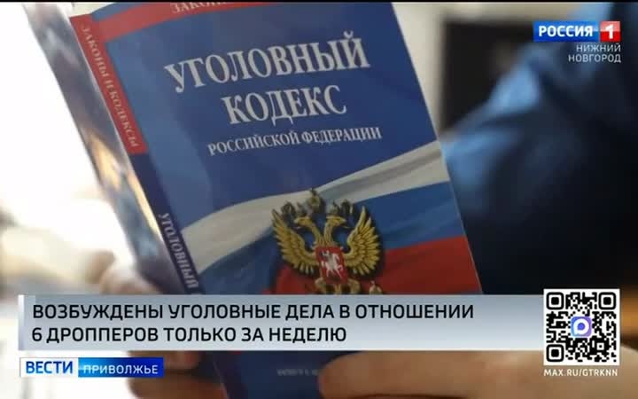 Уголовные дела в отношении 6 дропперов возбуждены в Нижегородской области только за одну неделю