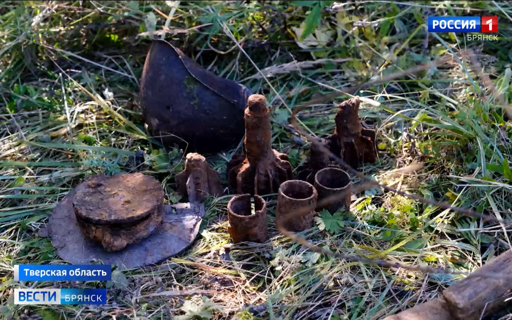 Брянские поисковики подняли останки более 40 красноармейцев