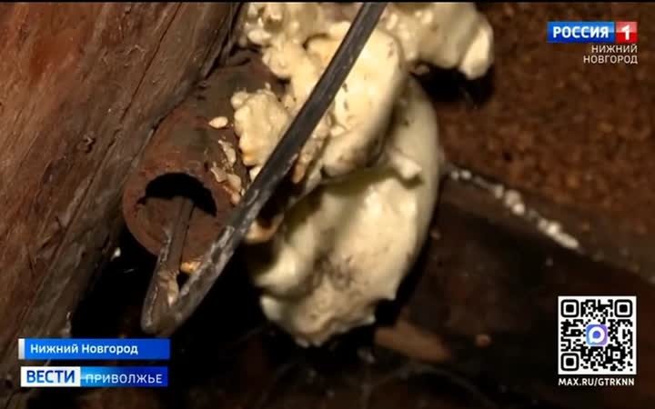 Жители дома №3 по улице Краснозвездной просят помощи: здание разрушается, полы прогнили, газ отключили