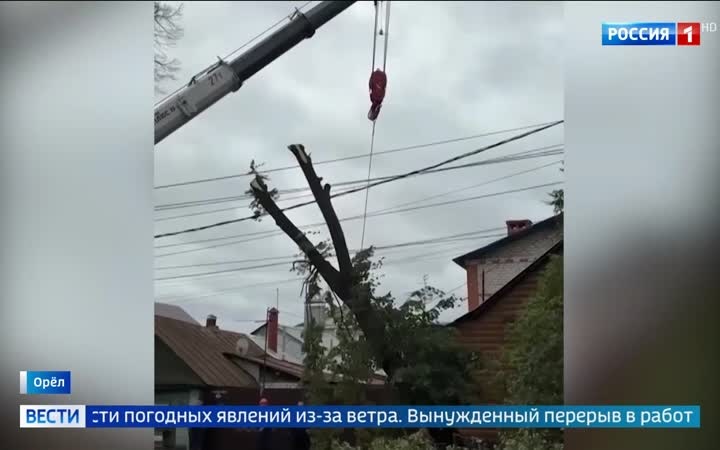 Сильный ветер парализует Москву и Орел
