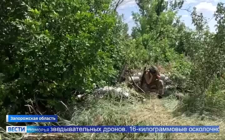 На северном участке Запорожского фронта российские войска продолжают владеть инициативой и продвигаться вперёд