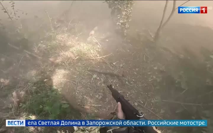 Военные захватывают Доброполье и освобождают Светлую Долину, уничтожая опорные пункты противника