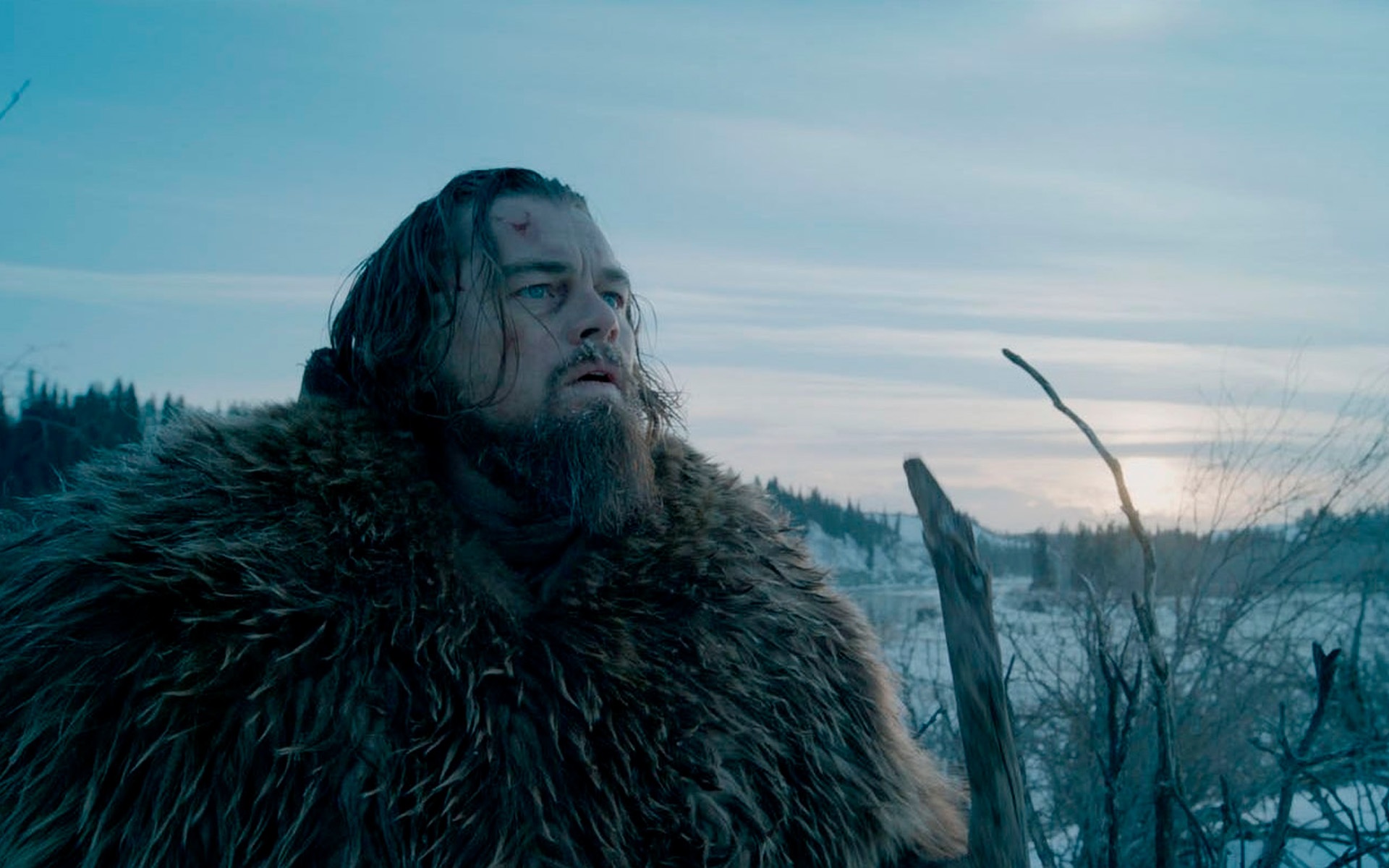 Выживший (2015)