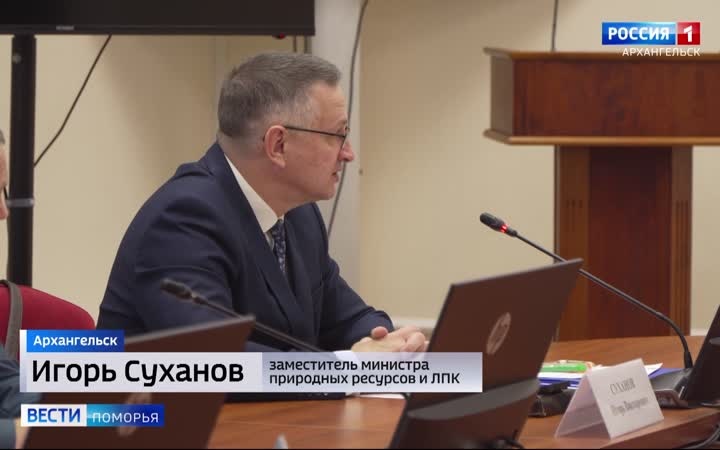Ситуацию с нашествием медведей обсудили в Правительстве региона