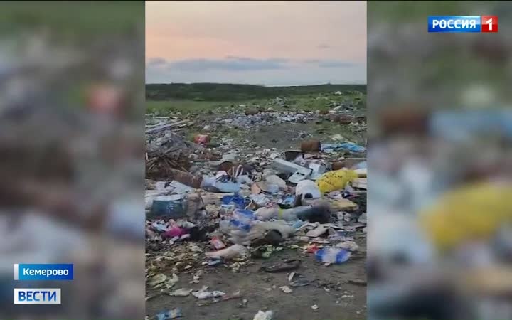 Жители Кемерова заметили медведя во дворе одного из домов