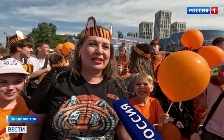 День тигра в Владивостоке: праздник и защита амурских хищников