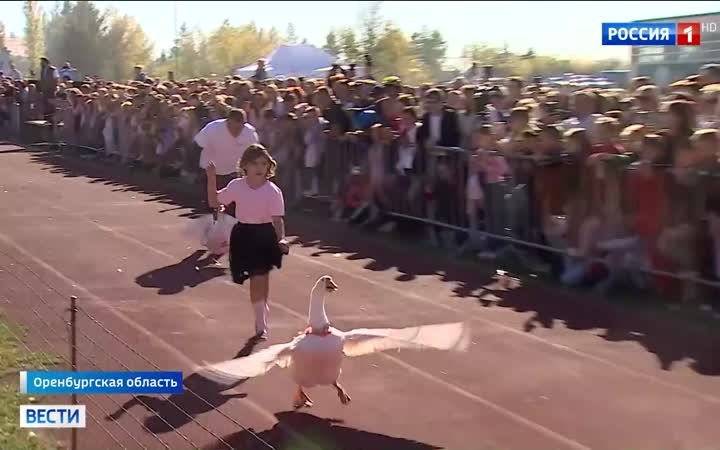 Гусиные бега в Оренбуржье: 33 участника и победа Цезаря