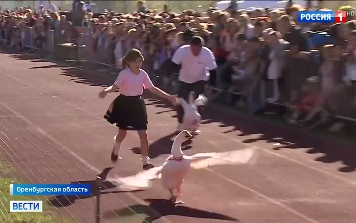 В Оренбургской области прошли гусиные бега