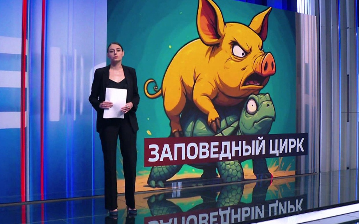 Мрачные ритуалы и жизнь за границей: чем украинцы удивляют соцсети