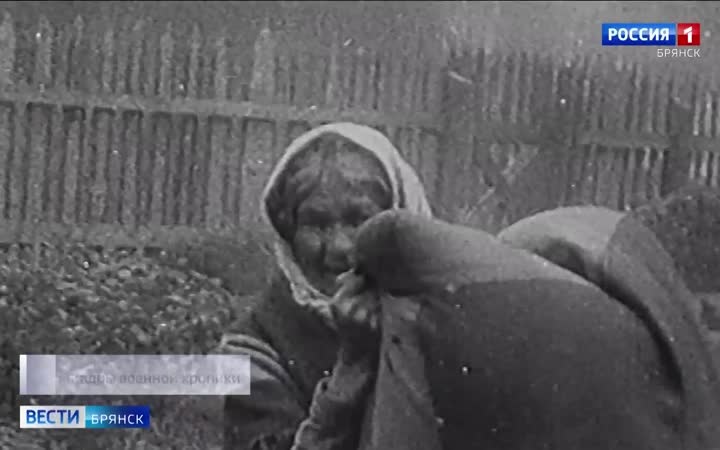 От наградных листов до трагедии Хацуни: оцифрован архив воспоминаний брянских партизан