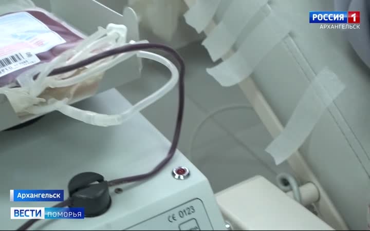 Акция «У крови нет нации» прошла сегодня в Архангельске