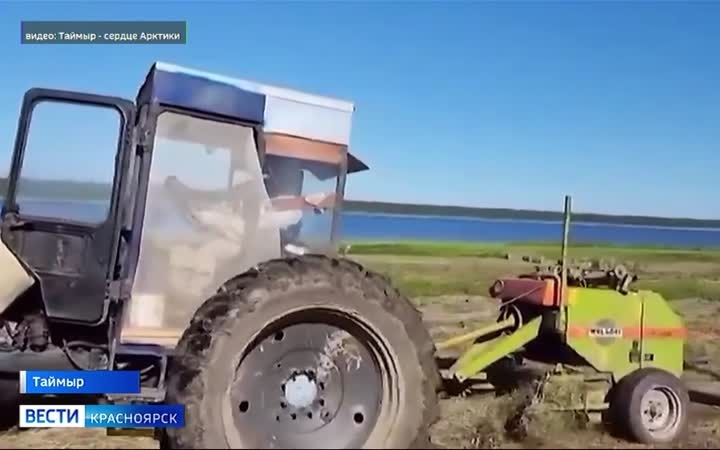 На Таймыре завершается сенокос