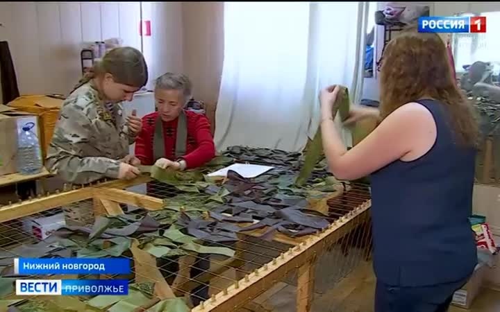 Сорок маскировочных сетей нижегородцы передали бойцам в зону СВО