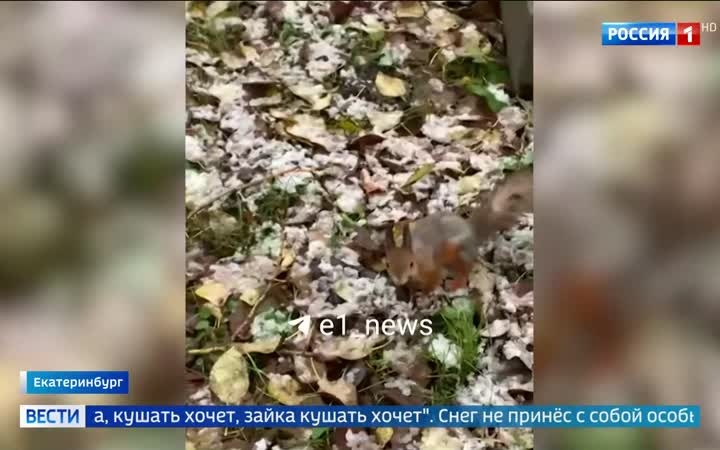 Первый снег покрыл Екатеринбург: начало зимы без катаклизмов
