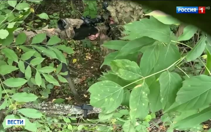 Российские войска наступают на Доброполье и выбивают националистов в Резниковском котле