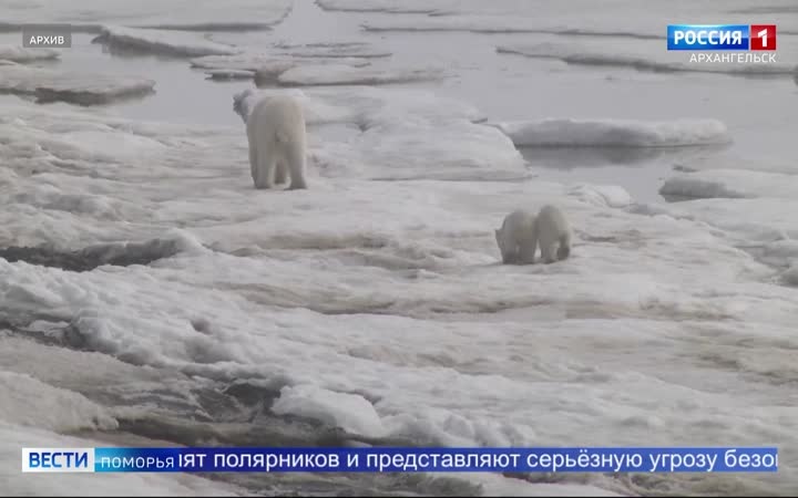 Яхта «Апостол Андрей» вернулась в Архангельск