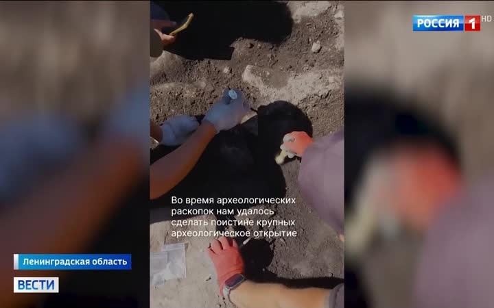 Под Петербургом найден клад эпохи князей: сокровища десяти веков