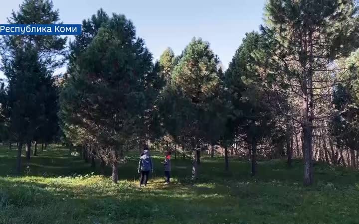 Вести Арктики с Ирадой Шириновой, эфир 7 октября 2026 г.