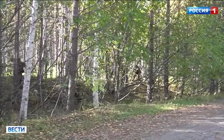 На маршруты боевого патрулирования вышли пусковые установки "Ярс"