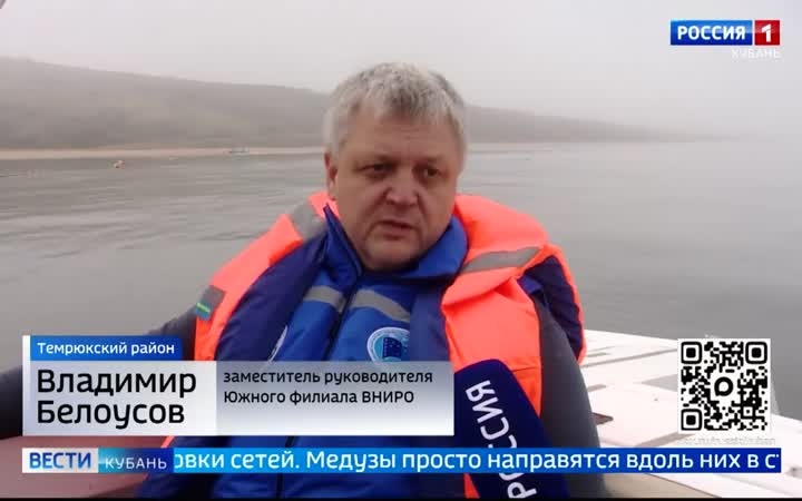 Борьба с медузами идет на Азовском побережье