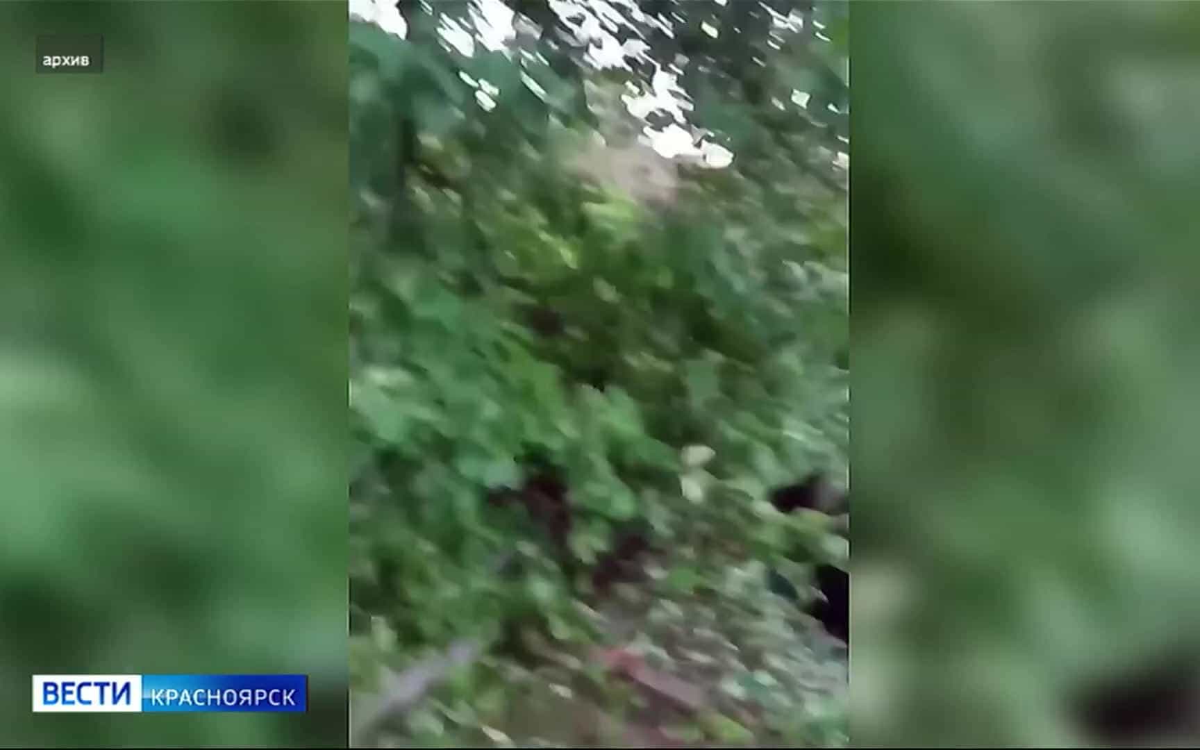 Эфир от 8.10.2026