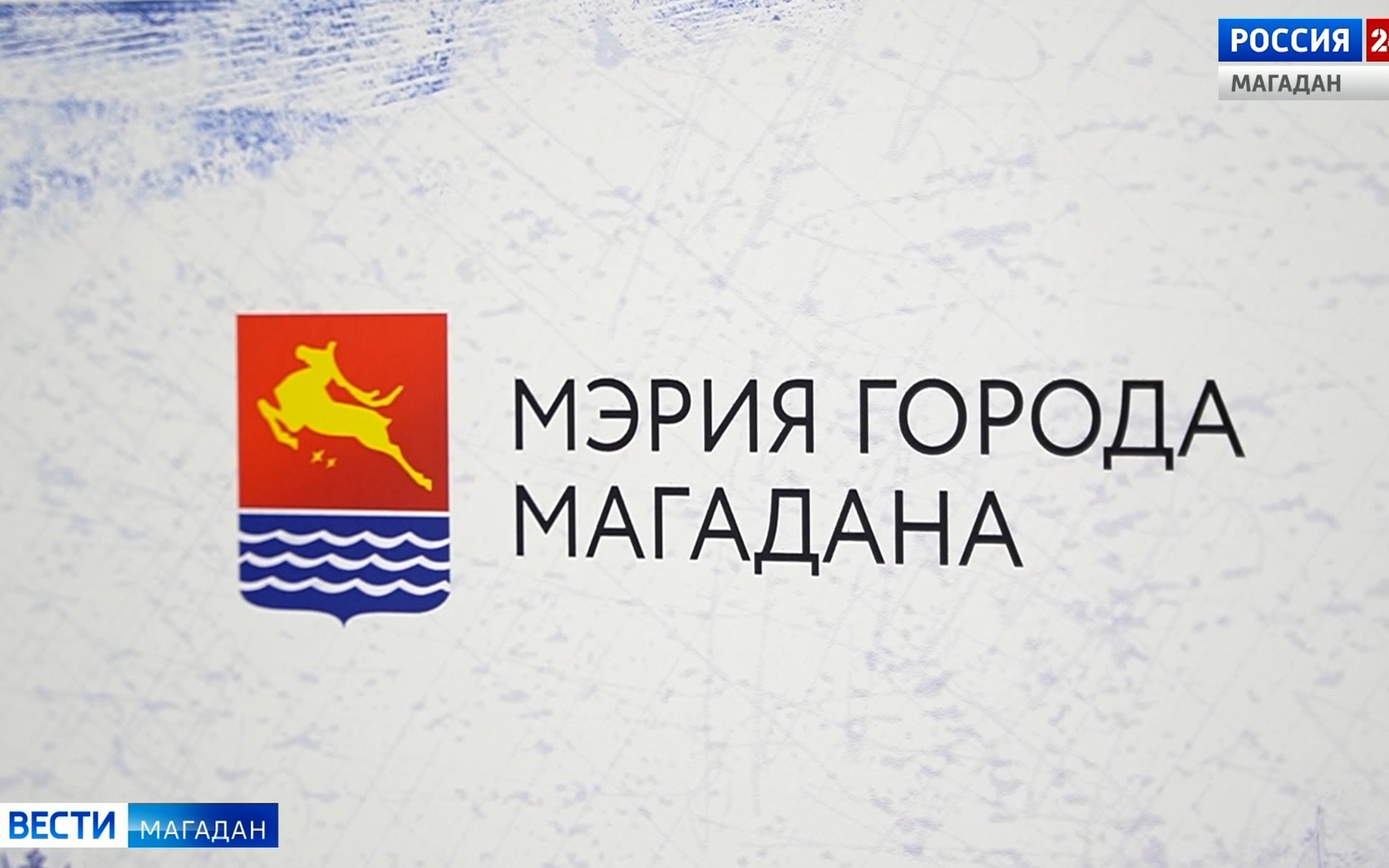 Мэрия Магадана проводит проверку после сообщения о якобы медведе, разрывшем могилу на кладбище