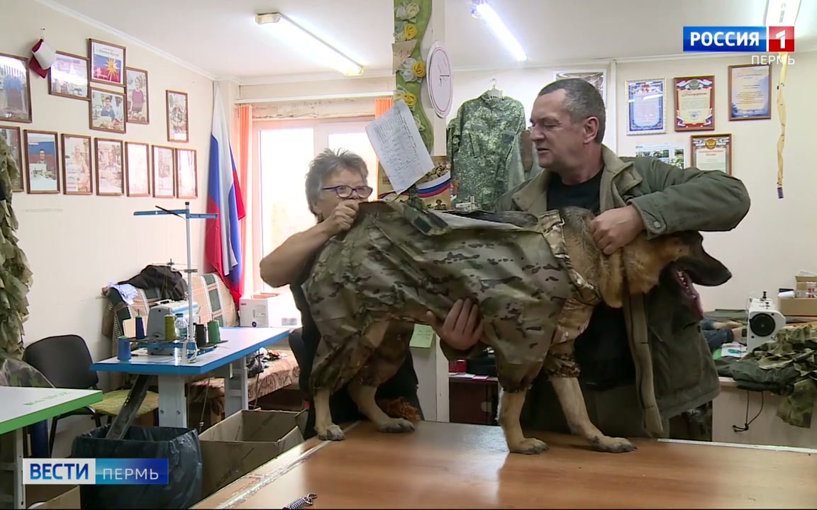 Прикамские волонтеры шьют комбинезоны для служебных собак в зоне СВО