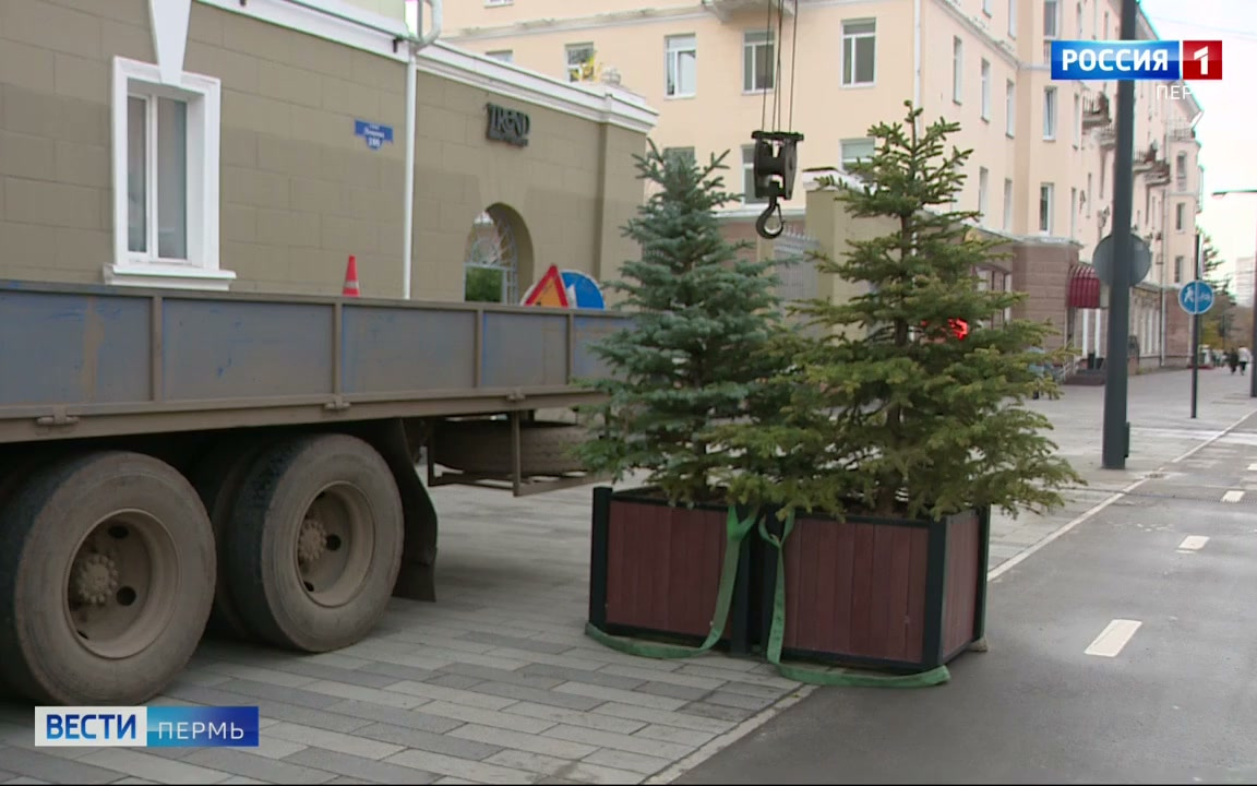 В Перми кадки и кашпо с растениями отправляют на зимовку в питомник