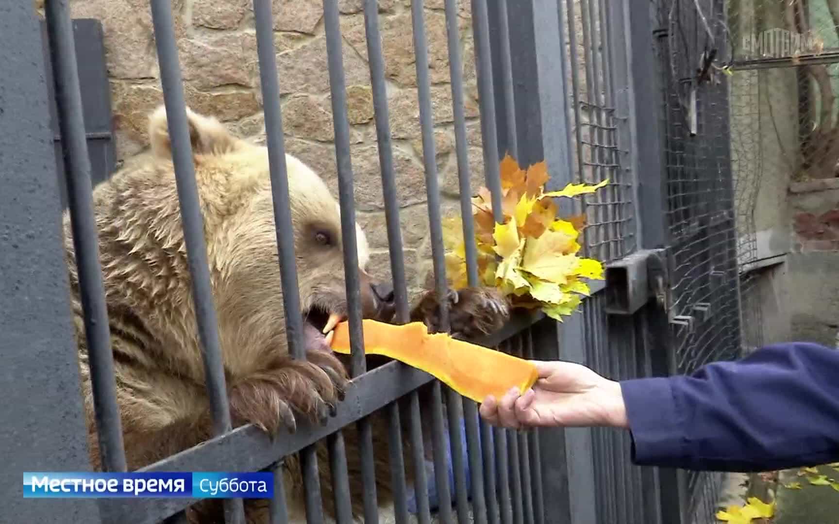 Эфир от 17.10.2026