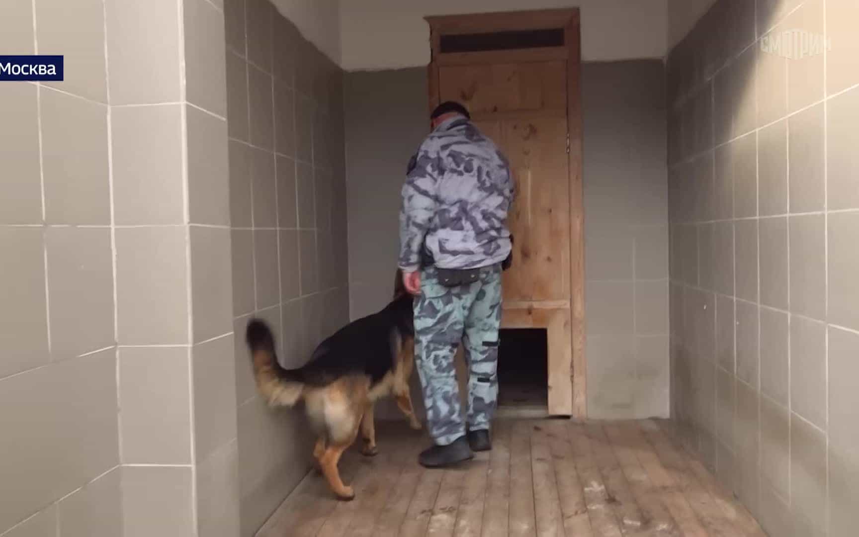 Росгвардия обеспечила безопасность матча "Динамо" — ЦСКА
