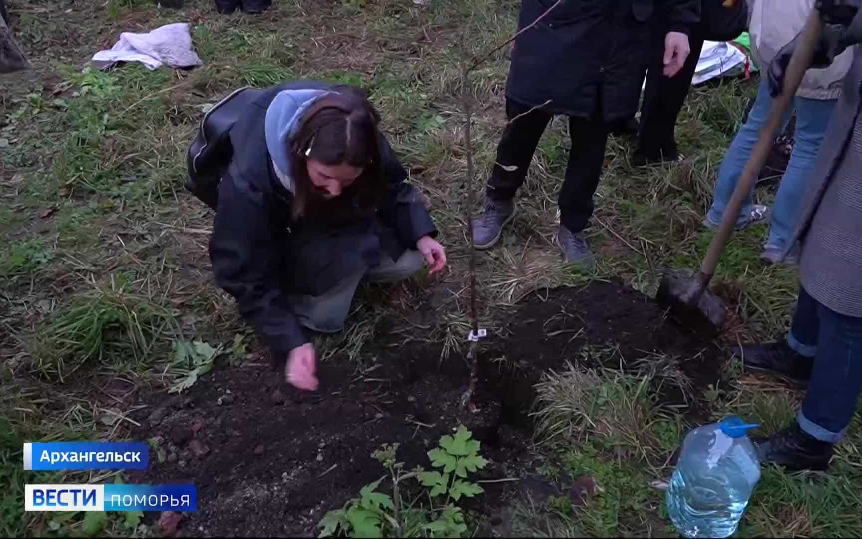 На Троицком проспекте Архангельска любительские театральные коллективы высадили яблони