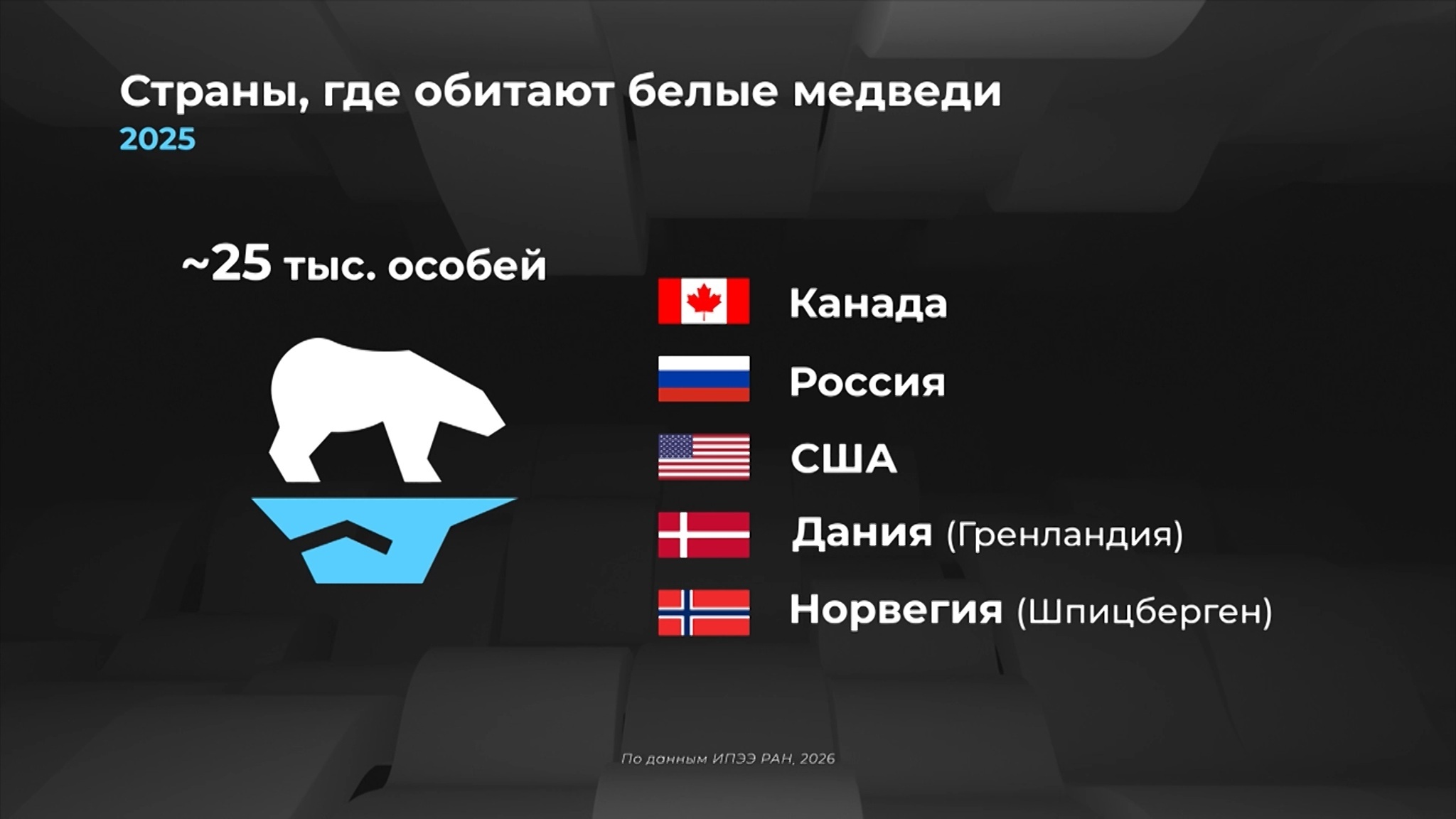 Мир в цифрах. Как охраняют белых медведей?