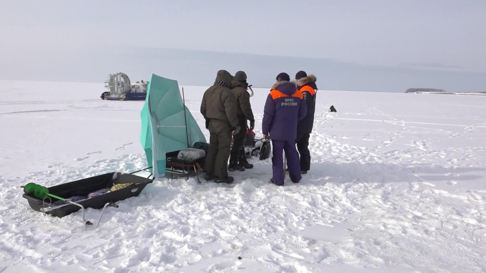 В Калининграде резко потеплело. Чем опасна ранняя весна