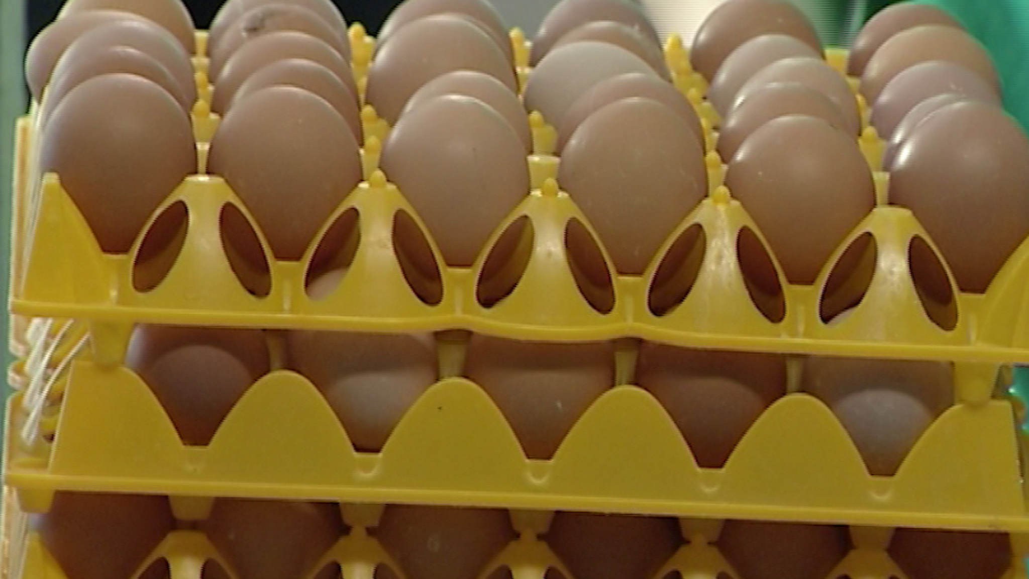 В Красноярске дорожают куриные яйца