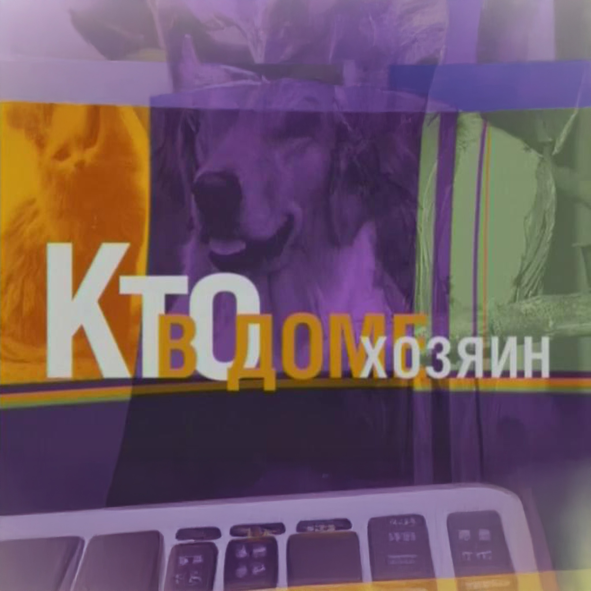 Кто в доме хозяин