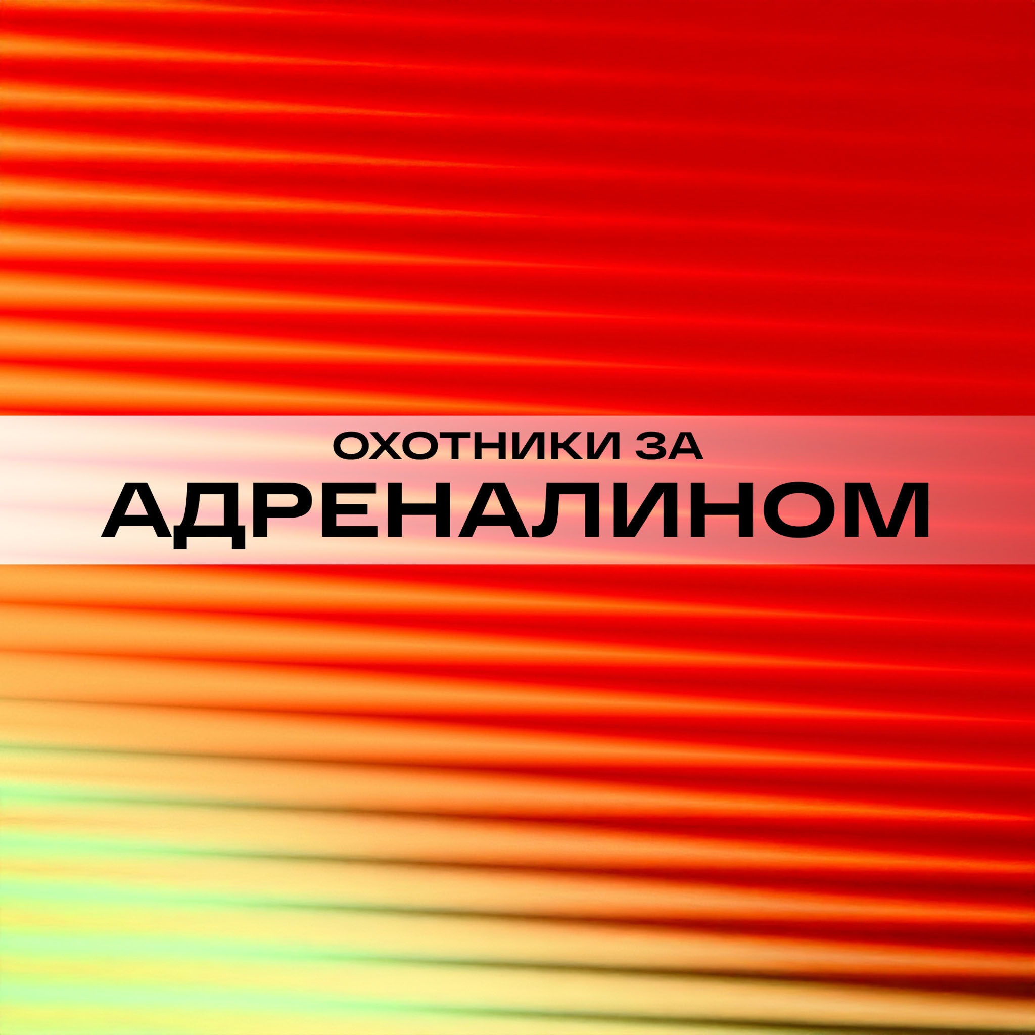Охотники за адреналином