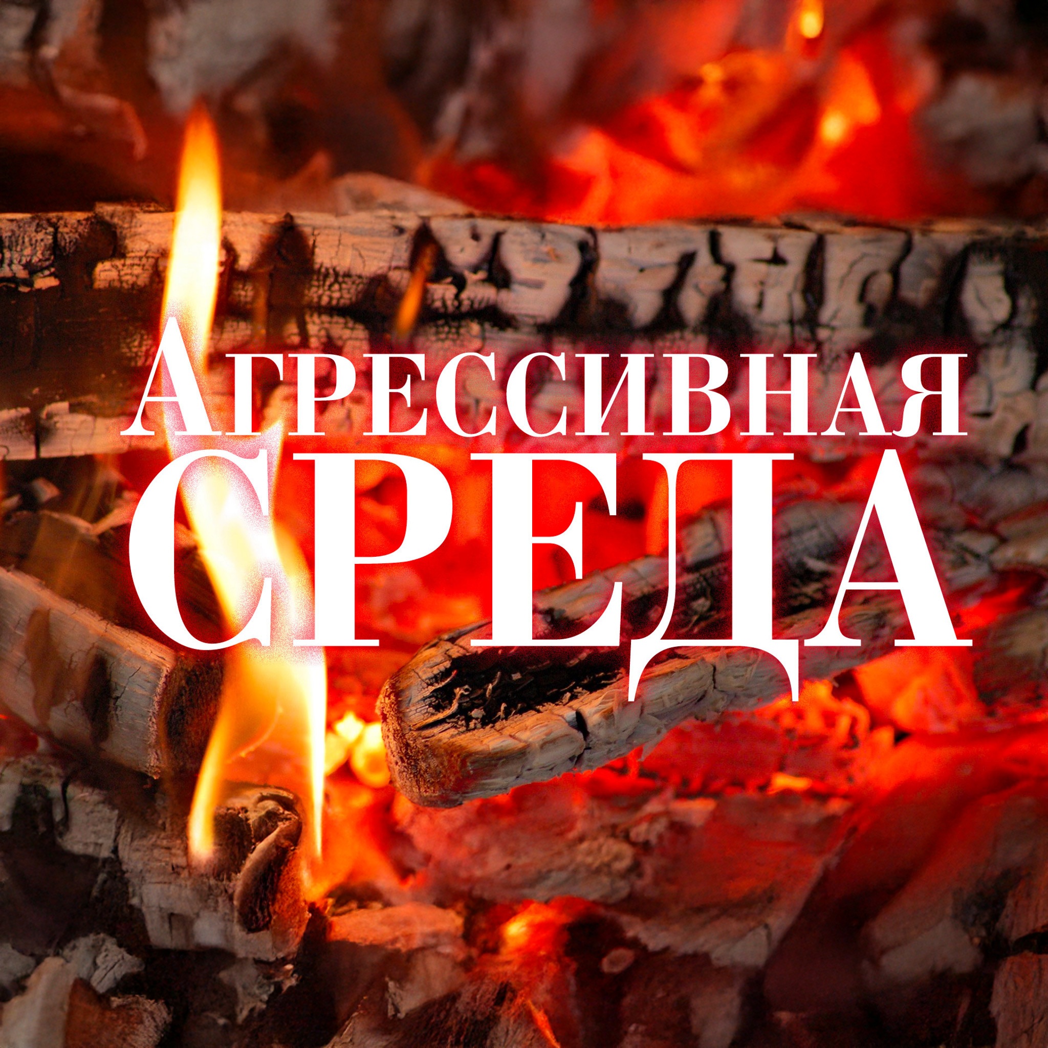 Агрессивная среда