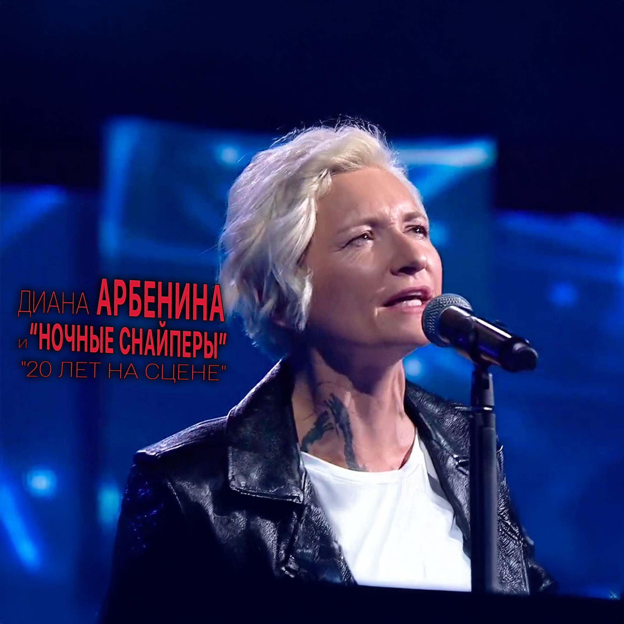Диана Арбенина и "Ночные снайперы". "20 лет на сцене"