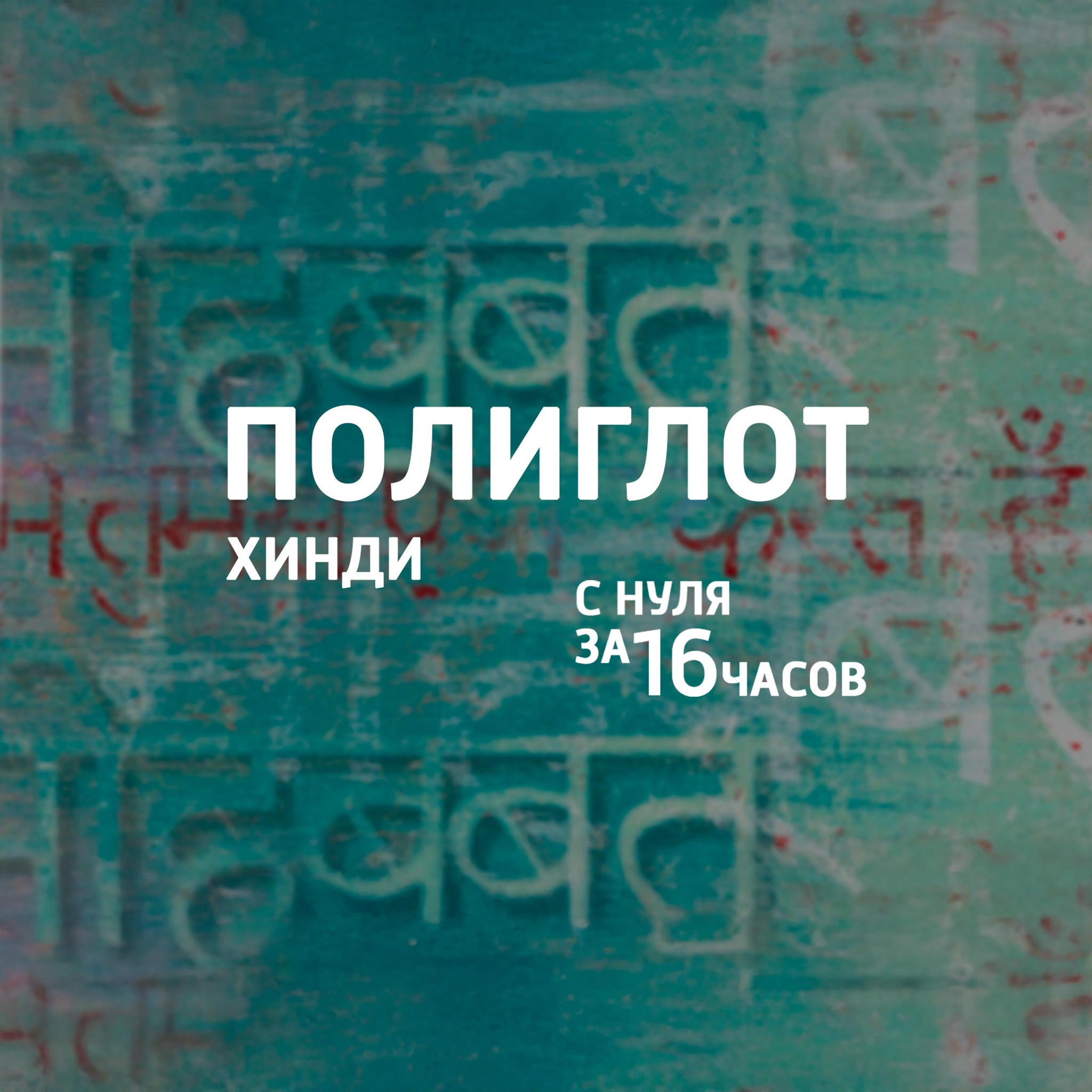 Полиглот. Хинди с нуля за 16 часов!