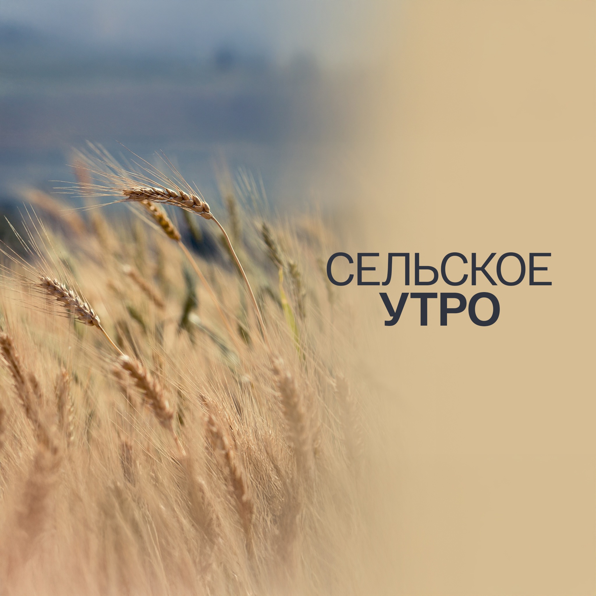 Сельское утро