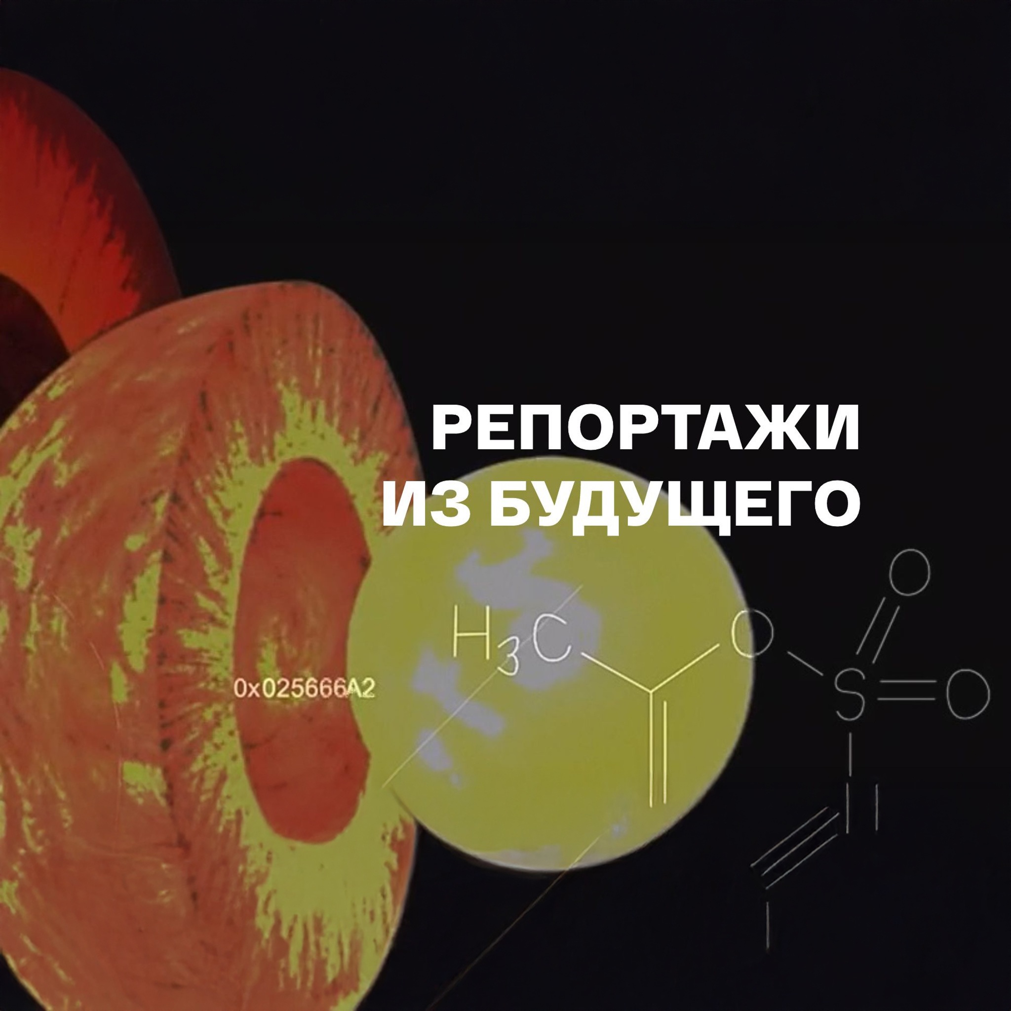 Репортажи из будущего
